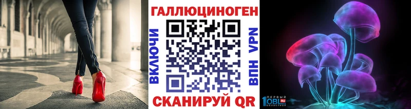 блэк спрут зеркало  Ногинск  Псилоцибиновые грибы MAGIC MUSHROOMS  наркотики 